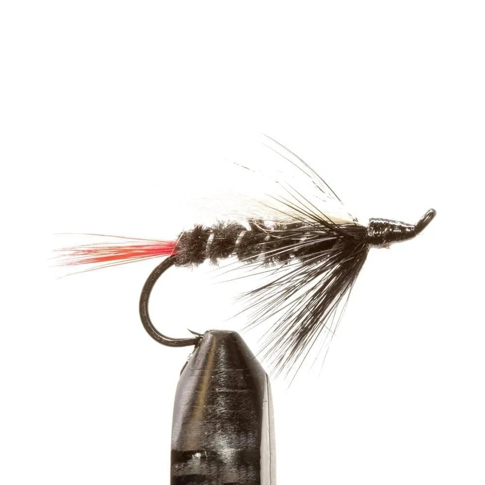 Jackson Hole Fly Company Loaded Foam Fly Box - Salmon