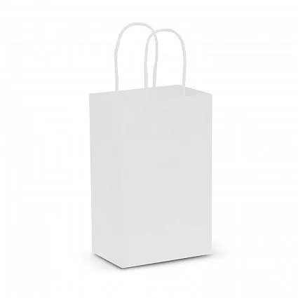Paper Carry Bag - Small