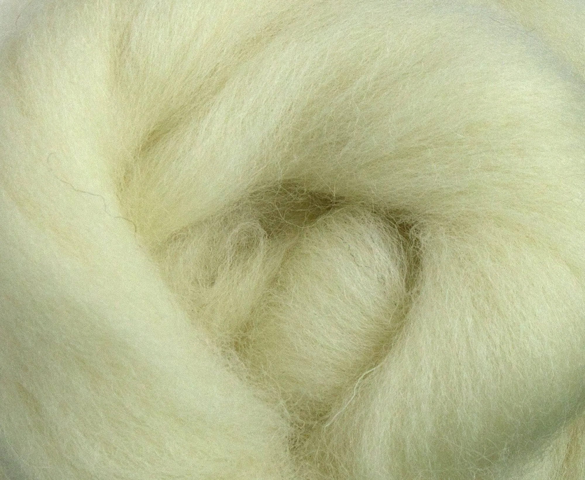 White Cheviot Top